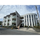 ポム・ドゥ・パンの画像