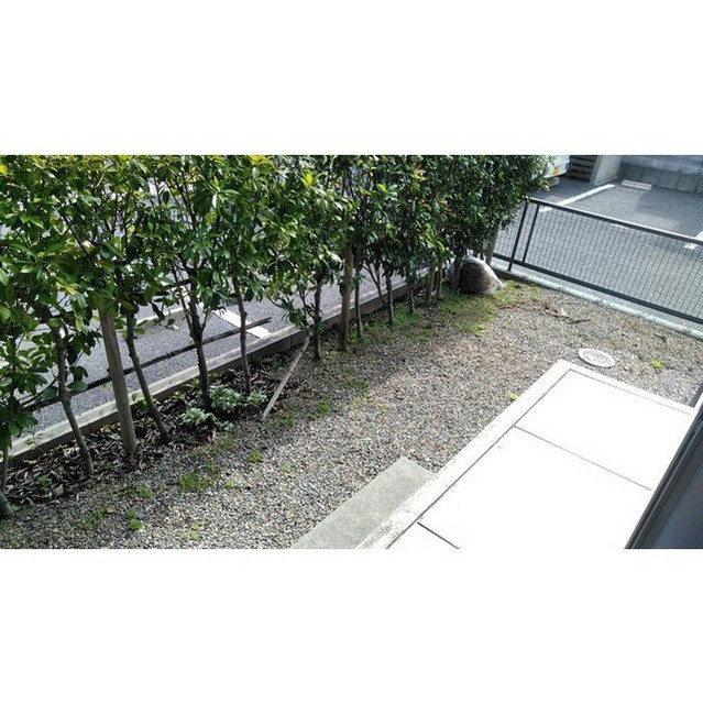 メルベーユ翔のその他