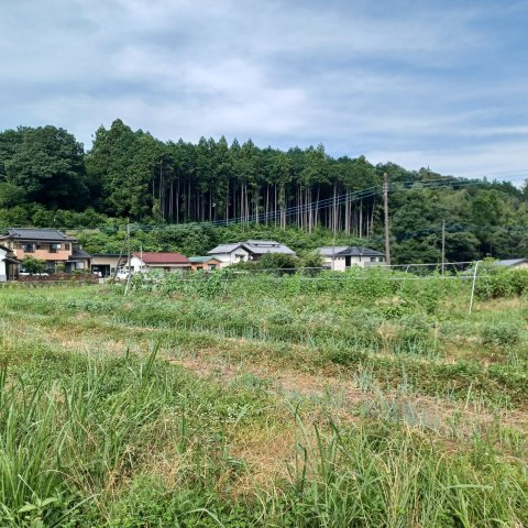 ときがわ町日影  土地276坪の外観
