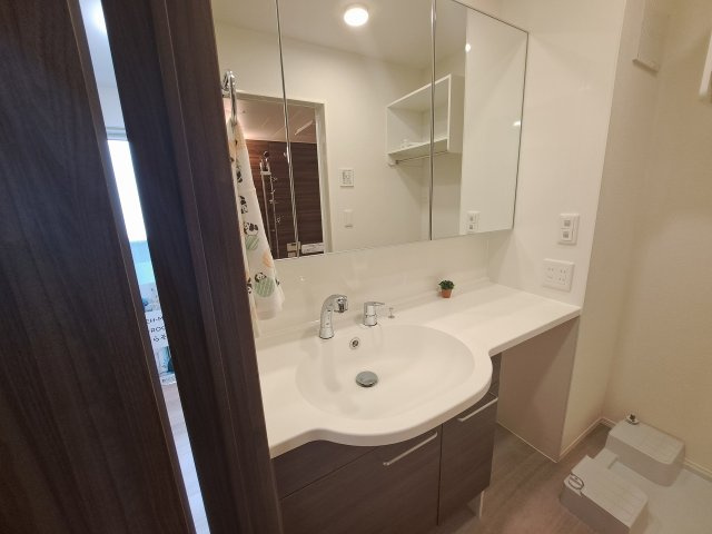 ドレⅡの洗面所