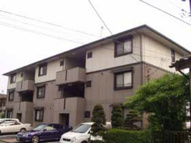 セゾン西橋本の画像