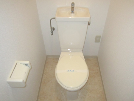 ブエナビスタイズミチュウオウのトイレ|トイレもきれいです