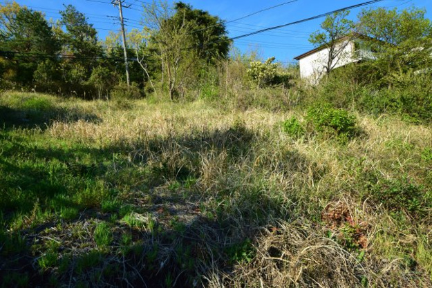 【外観】 | 伊豆急荻分譲地　売地