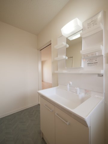 コーポラス小西　当新田の洗面所