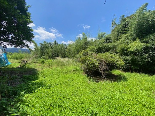 都城市豊満町の売地の外観