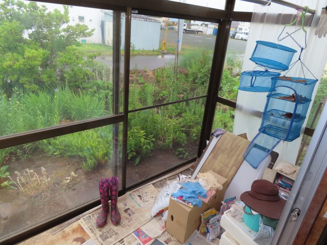 【内装】 | 北見市相内町59番地26　中古売家 | サンルーム