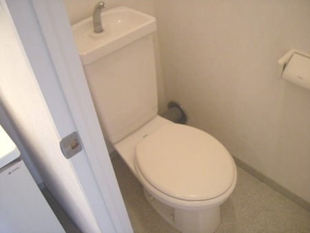 泉大津市東雲町のハイツのトイレ|落ち着いた色調のトイレです