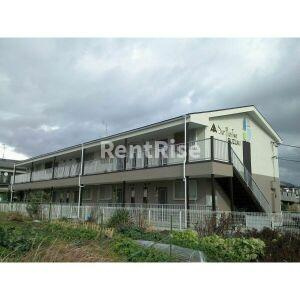 Surplus　Two　SUZUKI