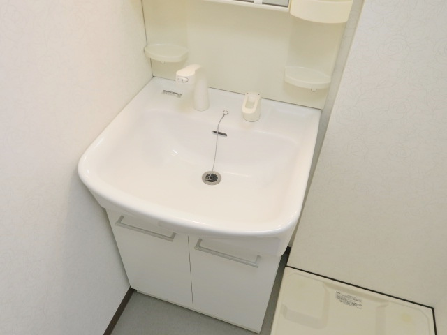 ＮＥＸＴ秀和の独立洗面台|★シャワードレッサー型洗面台付き★