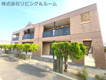 エバーグリーンの画像