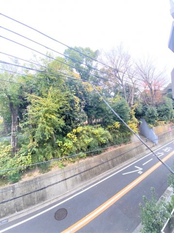 「防音マンション」リトルズトーン上野公園の展望|眺望は緑あふれ。視界良好です。