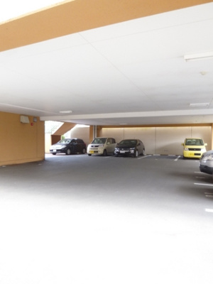 【その他】 | アリエッタ