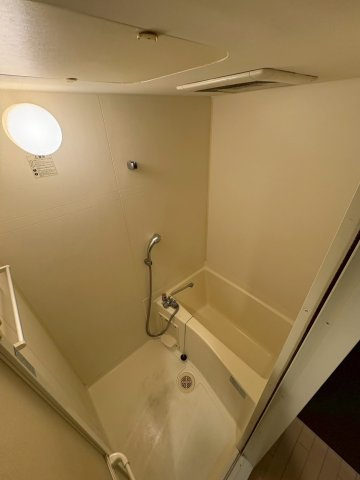 ラナップスクエア阿波座の浴室