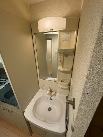 ラナップスクエア阿波座の洗面所