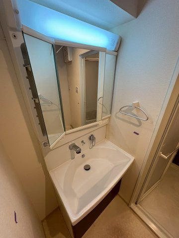 大阪市西区北堀江１丁目の賃貸マンションの洗面所