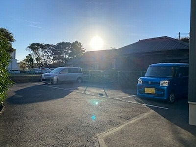 ＰＯＮＯ　ＨＡＬＥ