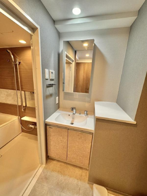 【独立洗面台】 | LUMEED南千住 | 朝の支度にも助かる、独立の洗髪洗面化粧台