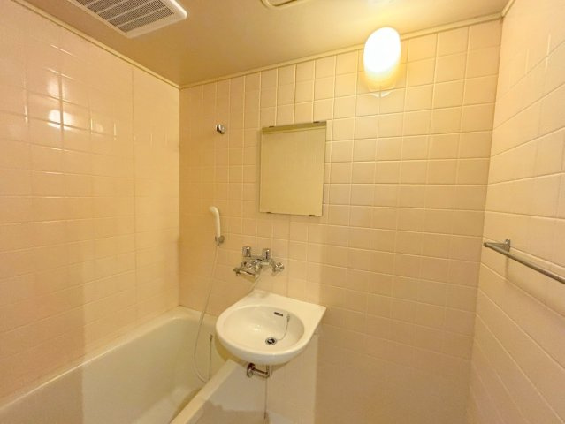 アピア幸和の洗面所