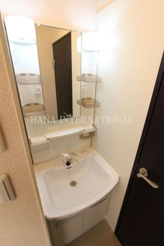 レオネクストフルールの洗面所