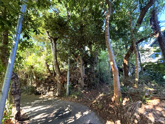 スローライフ　緑に包まれるの前面道路含む現地写真|前面道路