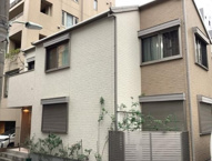 コリーヌＢの画像