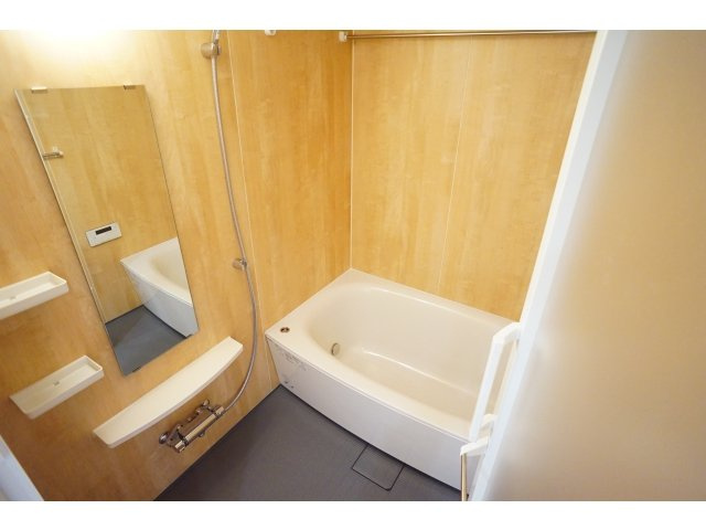 ブルーダイヤモンド中間のその他