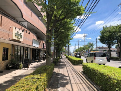 【周辺】 | スリーズマンション