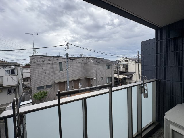 Ｈ．Ｗｉｓｔｅｒｉａの展望