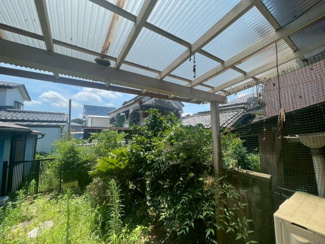 【展望】