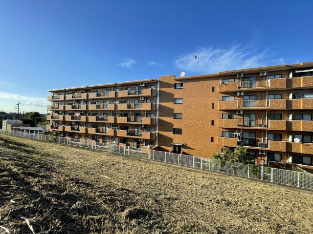 中古マンション　レインボー行田　4階の外観|荒川の河川敷を朝夕に散歩ができる環境です！健康志向の方にもおすすめ物件♪