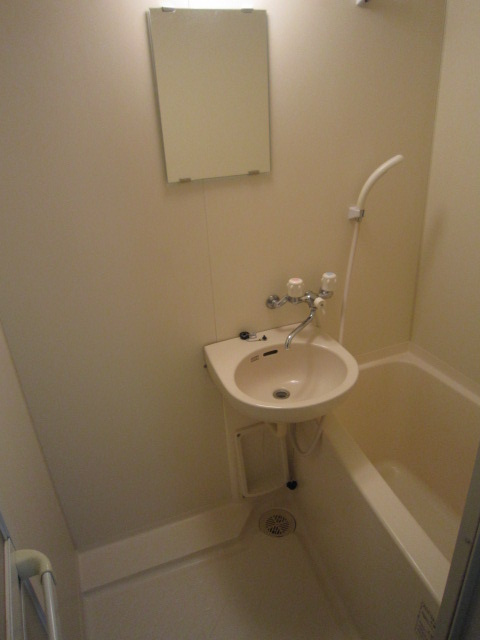 プチヴォアクサギの浴室