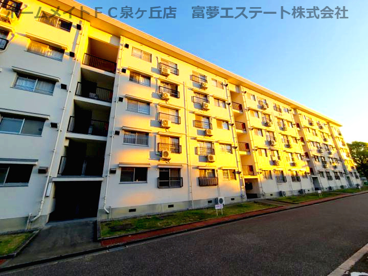 泉北宮山台団地3号棟の外観