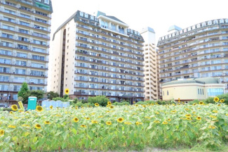  | 琵琶湖アーバンリゾートⅡ番館