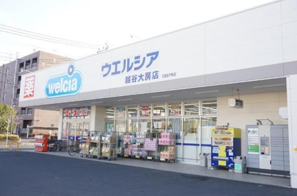 ウエルシア越谷大房店まで601m