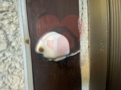 【セキュリティ】 | 松原市天美東９丁目戸建