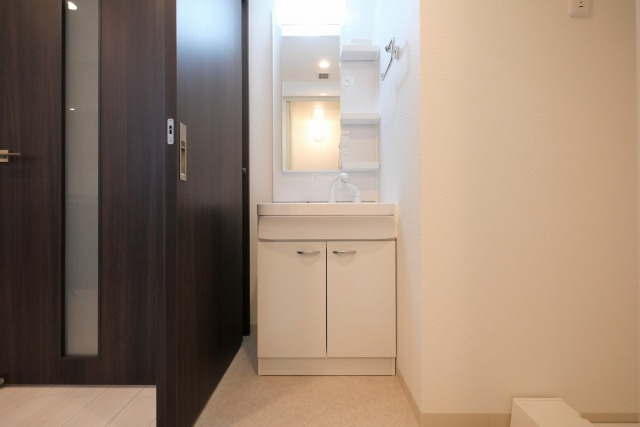 フェルザ福島の洗面所