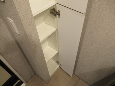 【収納】 | グランレ・ジェイド御茶ノ水 | 洗面所収納