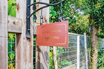 【ロビー】 | ＪＬＢグランエクリュ久我山