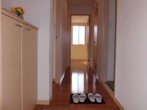 広島市安佐北区三入６丁目のアパートの玄関|シューズボックス