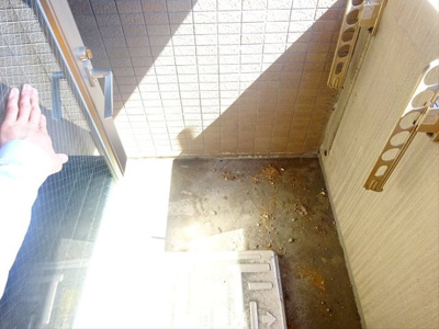 【その他】 | シンシア代田橋