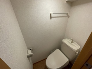 グラン・リーオ北伊丹2のトイレ