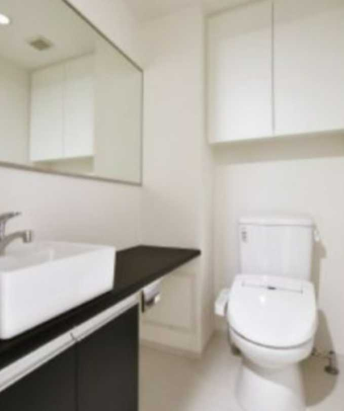 SYFORMEKOMAZAWA-DAIGAKU　ペット相談　分譲賃貸　敷金０のトイレ