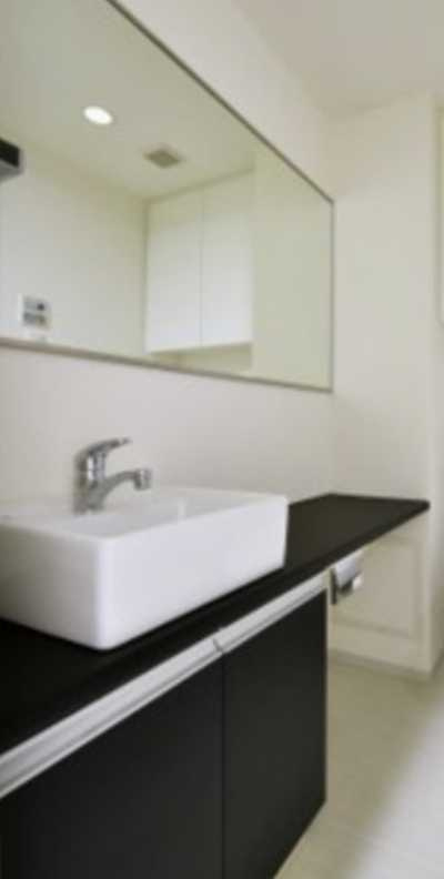 SYFORMEKOMAZAWA-DAIGAKU　ペット相談　分譲賃貸　敷金０の洗面所