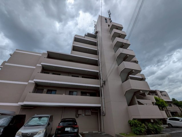 シュシュの外観