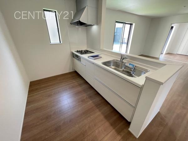 前橋市天川大島町A号棟のキッチン|シンクも大きく洗い物もしやすい浄水器付。シャワーヘッドは引き出し可能、シンクの隅々まで洗い流せます。