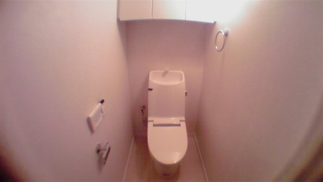 千代田区一番町の賃貸マンションのその他|トイレ