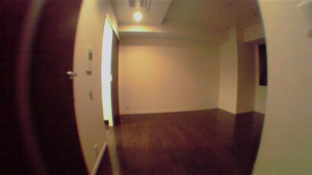 千代田区一番町の賃貸マンションの居間・リビング