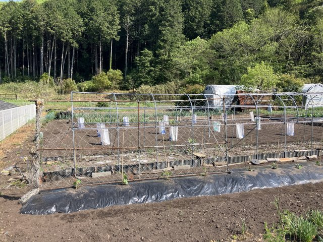 小多利濱田邸の庭|お庭が付いています