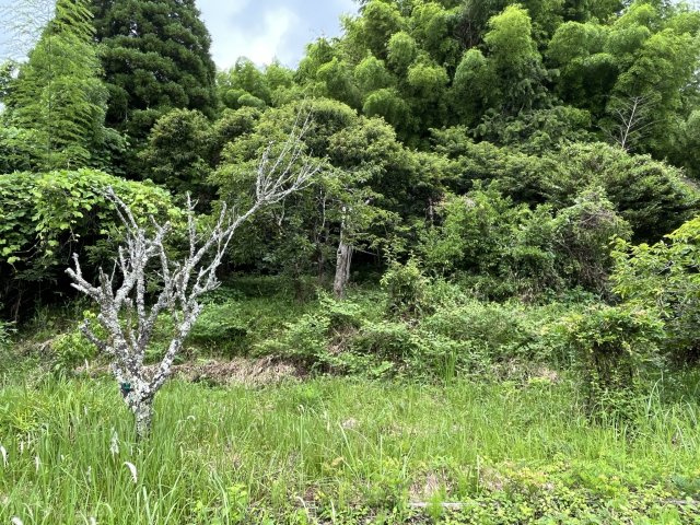 下小倉　売り土地の外観