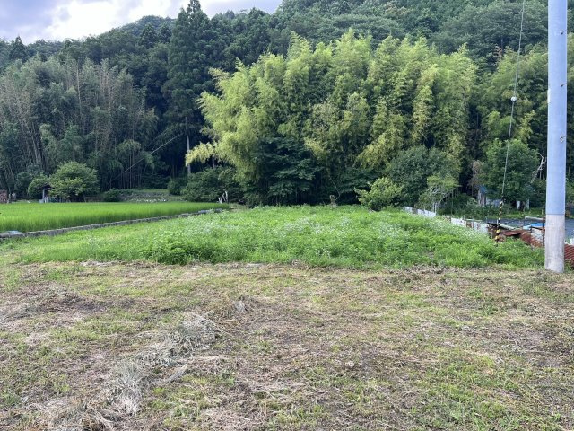 山南町和田売地（畑、山林付き）の外観